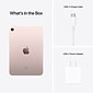 Apple iPad mini 8.3" Tablet, 6th Gen, 256GB, Wi-Fi, Pink (MLWR3LL/A)