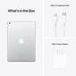 Apple iPad 10.2" Tablet, 64GB, WiFi + Cellular, 9th Generation, Silver (MK673LL/A)