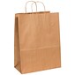 Staples® 17" x 7" x 13" Kraft Paper Shopping Bags, Kraft, 250/Carton (BGS106K)
