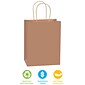 Staples® 10.25" x 4.5" Kraft Paper Shopping Bags, Kraft, 250/Carton (BGS103K)