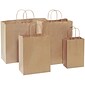 Staples® 17" x 7" x 13" Kraft Paper Shopping Bags, Kraft, 250/Carton (BGS106K)