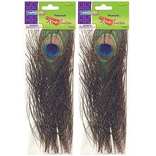 Creativity Street® Peacock Feathers, 10 to 11, 12 Per Pack, 2 Packs (CK-4515-2)