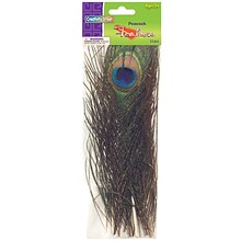 Creativity Street® Peacock Feathers, 10 to 11, 12 Per Pack, 2 Packs (CK-4515-2)