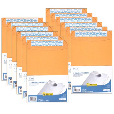 Mead Press-It Seal-It Envelopes, 9 x 12, Brown, 5/Box, 12 Boxes (MEA76080-12)