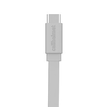 cellhelmet Charge and Sync USB-C to USB-C Cable, 3 Feet (CABLE-C-C-3-R-G)