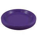 JAM PAPER Round Plastic Party Plates, Large, 10 1/4 inch, Purple, 20/Pack