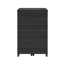 Thomasville Furniture Latimer 2-Drawer Vertical File Cabinet, Pedestal, Burnt Ash, 20.8D (SPLS-LADF