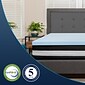 Flash Furniture Capri Comfortable Sleep 12 Inch Mattress & 3 inch Gel Memory Foam Topper Bundle, Twin (CLE230P3M35T)