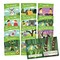 Junior Learning® Letters & Sounds, Phase 4, Set 2, Fiction, 12 Books