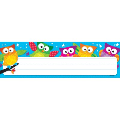 TREND Owl-Stars! Desk Toppers Nameplates, 2.875" x 9.5", 36 Per Pack, 6 Packs (T-69217-6)