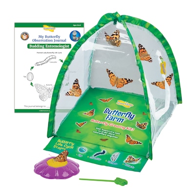 Insect Lore Butterfly Farm Science Manipulative for Students (ILP1015)