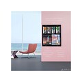 AdirOffice Wall Mounted Literature Holder Acrylic Magazine Rack with Adjustable Pockets, Black, 2/Pa