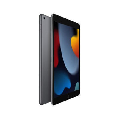 Apple iPad 10.2 Tablet, 64GB, WiFi, 9th Generation, Space Gray (MK2K3LL/A)