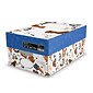 Quill Brand® 8.5" x 11" Copy Paper, Animal Friends Packaging, 20 lb, 92 Bright, 500 Sheets/Ream, 8 Reams/Carton (AF8RM22)