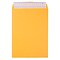 JAM Paper Peel & Seal Open End Catalog Envelope, 9 x 12, Brown, 500/Pack (13034231C)