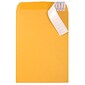 JAM Paper Peel & Seal Open End Catalog Envelope, 9" x 12", Brown, 500/Pack (13034231C)