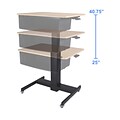 Rocelco 28W 26-41H Adjustable Mobile School Standing Desk with Book Box, Wood Grain (R MSD-28-BB)