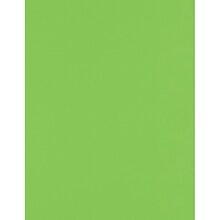 JAM PAPER 8.5” x 11” Cardstock, 100lb, Limelight, 50/pack  (81211-C-199-50)