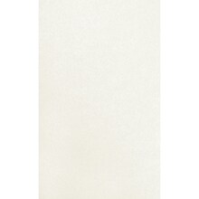 JAM PAPER 8.5 x 14 Cardstock, 105lb, Quartz Metallic, 50/pack  (81214-C-08-50)