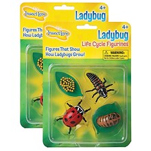 Insect Lore Ladybug Life Cycle Stages, 4 Per Set, 2 Sets (ILP6090-2)