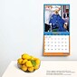 2024 BrownTrout Avanti Funny Farm 12" x 12" Monthly Wall Calendar (9781975466541)