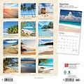2024 BrownTrout Beaches 12 x 12 Monthly Wall Calendar (9781975457853)