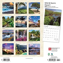 2024 BrownTrout Hawaii Wild & Scenic 12 x 12 Monthly Wall Calendar (9781975463069)