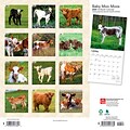 2024 BrownTrout Baby Moo Moos 12 x 12 Monthly Wall Calendar (9781975457785)
