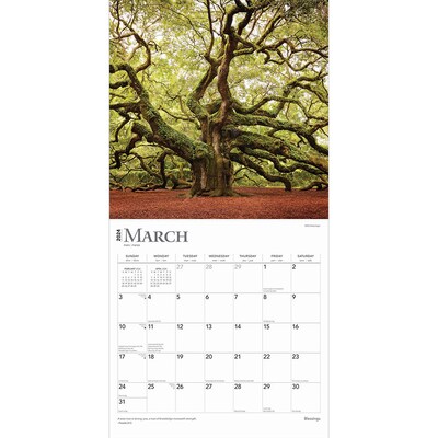 2024 BrownTrout Blessings 12" x 12" Monthly Wall Calendar (9781975461812)