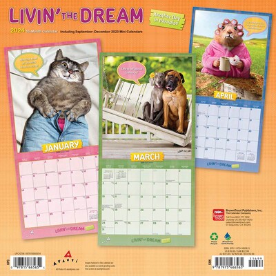 2024 BrownTrout Avanti Livin the Dream 12 x 12 Monthly Wall Calendar (9781975466565)