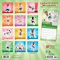 2024 BrownTrout Karate Cats 12 x 12 Monthly Wall Calendar (9781975466954)