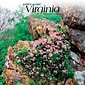 2024 BrownTrout Virginia Wild & Scenic 12" x 12" Monthly Wall Calendar (9781975465568)