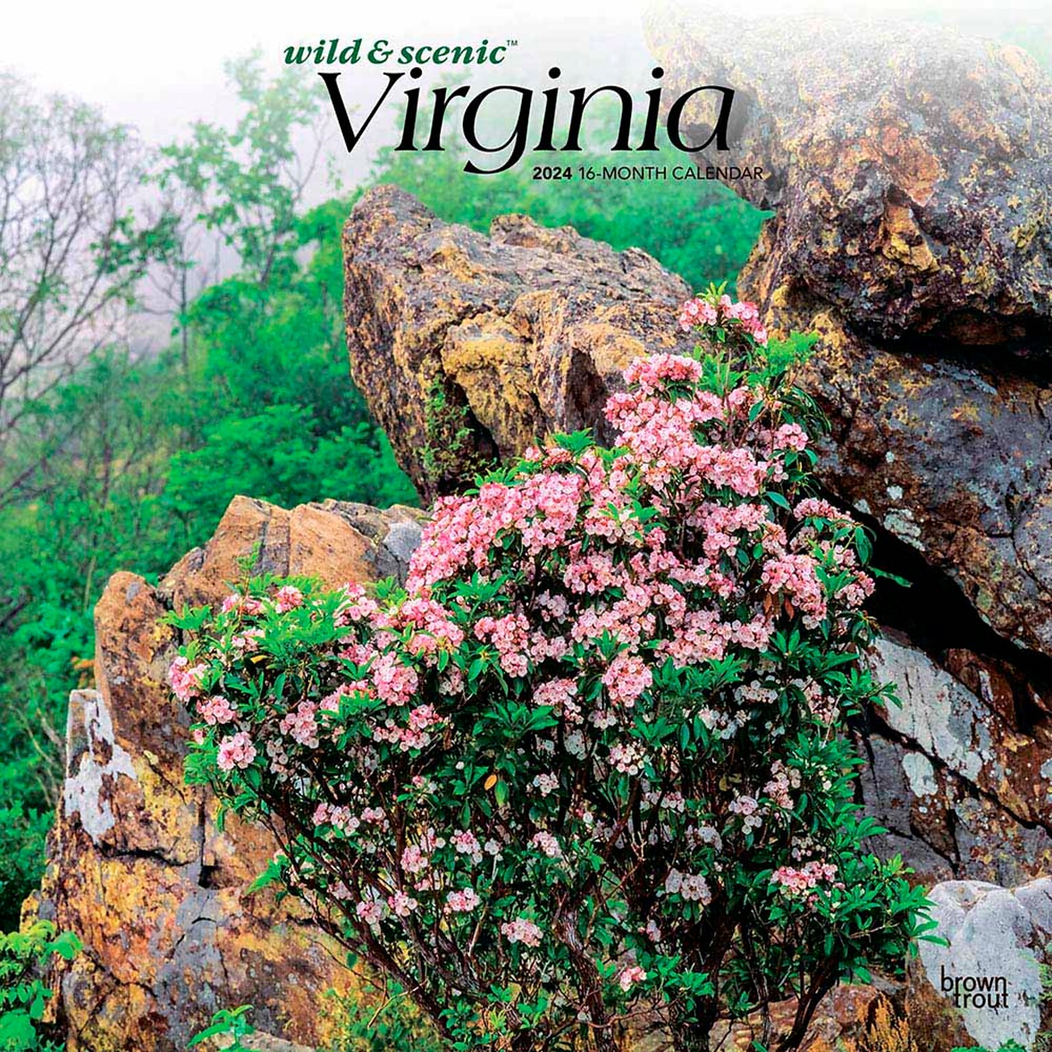 2024 BrownTrout Virginia Wild & Scenic 12 x 12 Monthly Wall Calendar (9781975465568)
