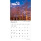 2024 BrownTrout Virginia Wild & Scenic 12" x 12" Monthly Wall Calendar (9781975465568)