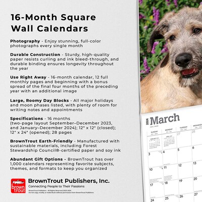 2024 BrownTrout Irish Wolfhounds 12" x 12" Monthly Wall Calendar (9781975470692)