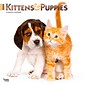 2024 BrownTrout Kittens & Puppies 12" x 12" Monthly Wall Calendar (9781975463465)