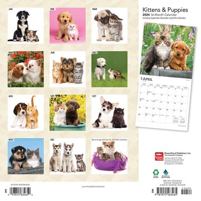2024 BrownTrout Kittens & Puppies 12 x 12 Monthly Wall Calendar (9781975463465)