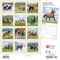 2024 BrownTrout Horse Lovers 12 x 12 Monthly Wall Calendar (9781975463113)