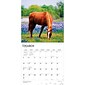 2024 BrownTrout Horse Lovers 12" x 12" Monthly Wall Calendar (9781975463113)