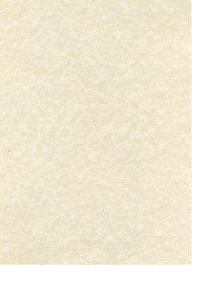 Canson Classic Cream Drawing Paper Sheets 18 in. x 24 in. [Pack of 10](PK10-100511131)