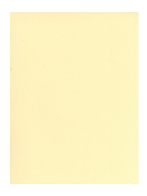 Canson Mi-Teintes Tinted Paper pale yellow 19 in. x 25 in. [Pack of 10](PK10-100511217)