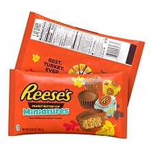 Hersheys Snack Size Assorted Chocolate Fall Candy, 3/Pack (600-00765)