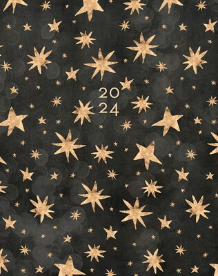 2024 Willow Creek Press Starry Night 7.5 x 9.5 Booklet Monthly Planner (38451)