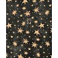 2024 Willow Creek Press Starry Night 7.5" x 9.5" Booklet Monthly Planner (38451)