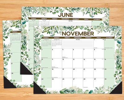 2024 Willow Creek Eucalyptus & Succulents 22" x 17" Monthly Desk or Wall Calendar, Multicolor (38758)