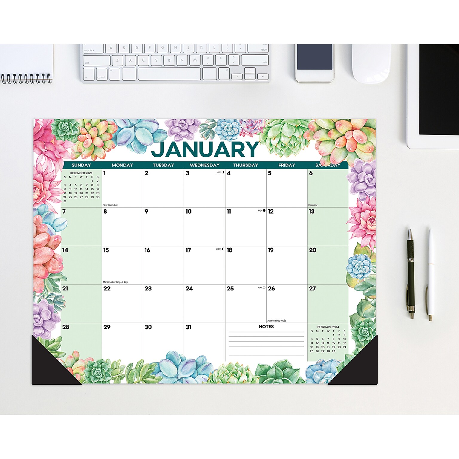2024 Willow Creek Press Succulent 2024 22 x 17 Large Monthly Deskpad Calendar for Wall or Desk (38772)