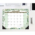 2024 Willow Creek Eucalyptus & Succulents 22 x 17 Monthly Desk or Wall Calendar, Multicolor (38758