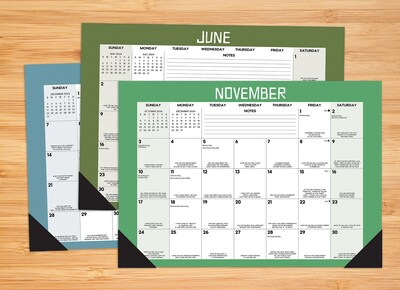 2024 Willow Creek Bad Dad Jokes 12 x 17 Monthly Desk or Wall Calendar, Multicolor (40409)