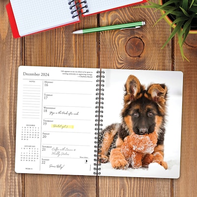 2024 Willow Creek Press What Dogs Teach Us Engagement Calendar, Weekly Planner 6.5" x 8.5" Spiral (37928)
