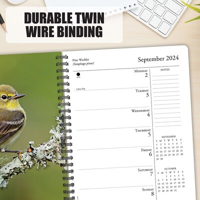 2024 Willow Creek Press Backyard Birds Weekly Engagement Calendar, 6.5" x 8.5" Spiral Planner (37829)